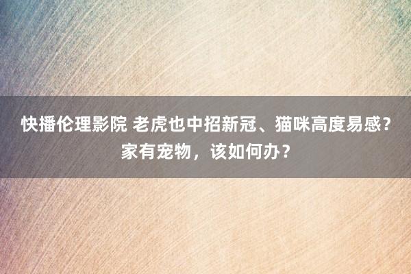 快播伦理影院 老虎也中招新冠、猫咪高度易感？家有宠物，该如何办？