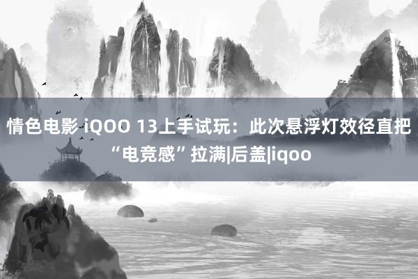 情色电影 iQOO 13上手试玩：此次悬浮灯效径直把“电竞感”拉满|后盖|iqoo