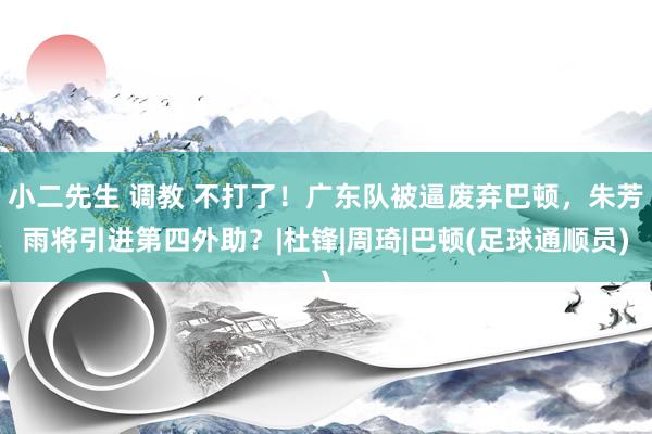 小二先生 调教 不打了！广东队被逼废弃巴顿，朱芳雨将引进第四外助？|杜锋|周琦|巴顿(足球通顺员)