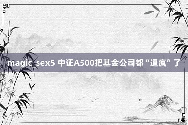 magic_sex5 中证A500把基金公司都“逼疯”了