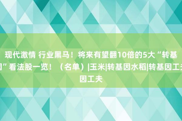 现代激情 行业黑马！将来有望翻10倍的5大“转基因”看法股一览！（名单）|玉米|转基因水稻|转基因工夫