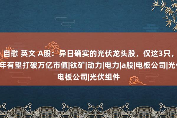 自慰 英文 A股：异日确实的光伏龙头股，仅这3只，异日3年有望打破万亿市值|钛矿|动力|电力|a股|电板公司|光伏组件