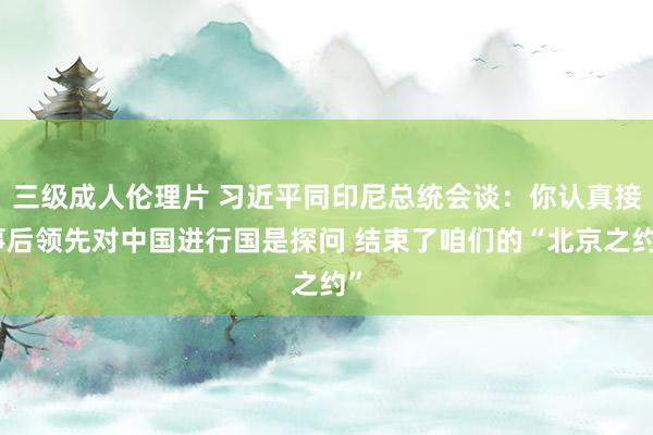 三级成人伦理片 习近平同印尼总统会谈：你认真接事后领先对中国进行国是探问 结束了咱们的“北京之约”