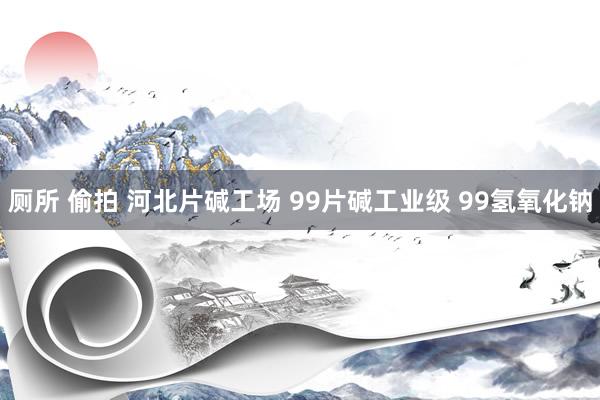 厕所 偷拍 河北片碱工场 99片碱工业级 99氢氧化钠