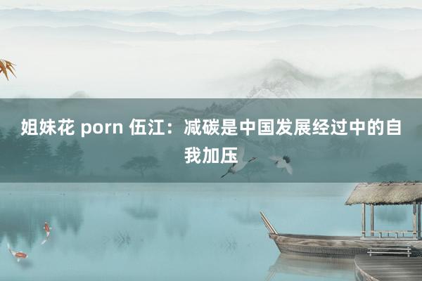 姐妹花 porn 伍江：减碳是中国发展经过中的自我加压