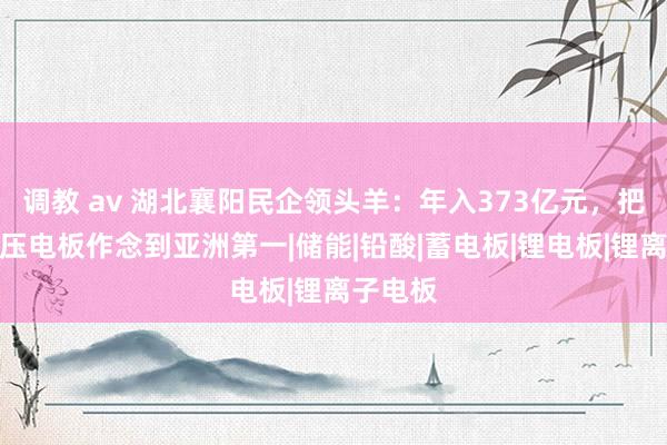 调教 av 湖北襄阳民企领头羊：年入373亿元，把汽车低压电板作念到亚洲第一|储能|铅酸|蓄电板|锂电板|锂离子电板