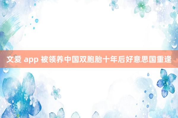 文爱 app 被领养中国双胞胎十年后好意思国重逢