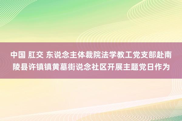 中国 肛交 东说念主体裁院法学教工党支部赴南陵县许镇镇黄墓街说念社区开展主题党日作为